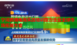 寧河跨境電商實戰(zhàn)培訓助力企業(yè)全球市場拓展方案