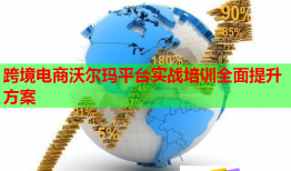 跨境電商沃爾瑪平臺(tái)實(shí)戰(zhàn)培訓(xùn)全面提升方案