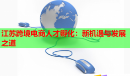 江蘇跨境電商人才孵化：新機遇與發(fā)展之道