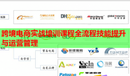 跨境電商實(shí)戰(zhàn)培訓(xùn)課程全流程技能提升與運(yùn)營管理