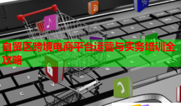 自貿區(qū)跨境電商平臺運營與實務培訓全攻略