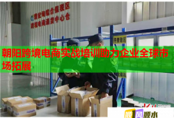 朝陽跨境電商實戰(zhàn)培訓(xùn)助力企業(yè)全球市場拓展