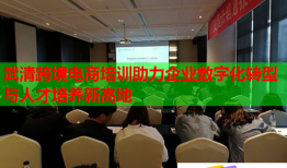 武清跨境電商培訓(xùn)助力企業(yè)數(shù)字化轉(zhuǎn)型與人才培養(yǎng)新高地