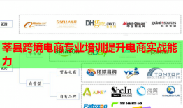莘縣跨境電商專業(yè)培訓(xùn)提升電商實(shí)戰(zhàn)能力