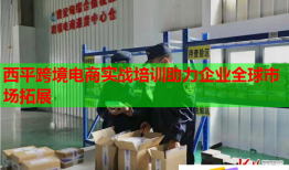 西平跨境電商實戰(zhàn)培訓(xùn)助力企業(yè)全球市場拓展