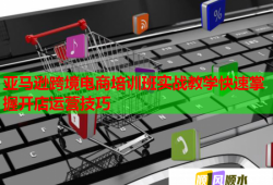 亞馬遜跨境電商培訓(xùn)班實(shí)戰(zhàn)教學(xué)快速掌握開(kāi)店運(yùn)營(yíng)技巧