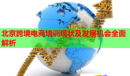 北京跨境電商培訓(xùn)現(xiàn)狀及發(fā)展機(jī)會(huì)全面解析
