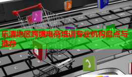 樂清地區(qū)跨境電商培訓(xùn)專業(yè)機(jī)構(gòu)盤點與推薦