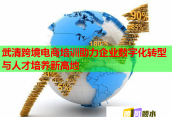 武清跨境電商培訓(xùn)助力企業(yè)數(shù)字化轉(zhuǎn)型與人才培養(yǎng)新高地
