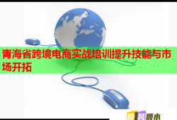 青海省跨境電商實戰(zhàn)培訓(xùn)提升技能與市場開拓