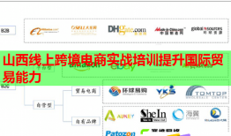 山西線上跨境電商實戰(zhàn)培訓(xùn)提升國際貿(mào)易能力