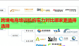 跨境電商培訓(xùn)機(jī)構(gòu)實(shí)力對(duì)比哪家更值得選擇