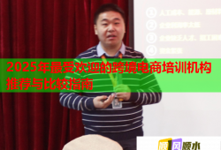2025年最受歡迎的跨境電商培訓(xùn)機(jī)構(gòu)推薦與比較指南