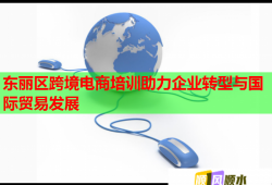 東麗區(qū)跨境電商培訓(xùn)助力企業(yè)轉(zhuǎn)型與國(guó)際貿(mào)易發(fā)展