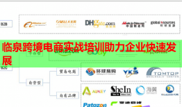 臨泉跨境電商實戰(zhàn)培訓(xùn)助力企業(yè)快速發(fā)展