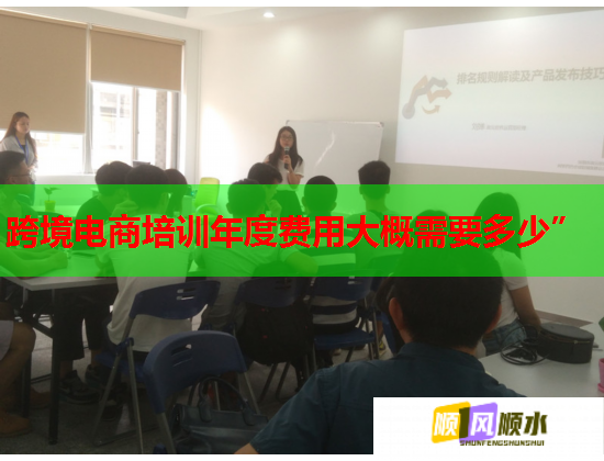 跨境電商培訓(xùn)年度費(fèi)用大概需要多少”
