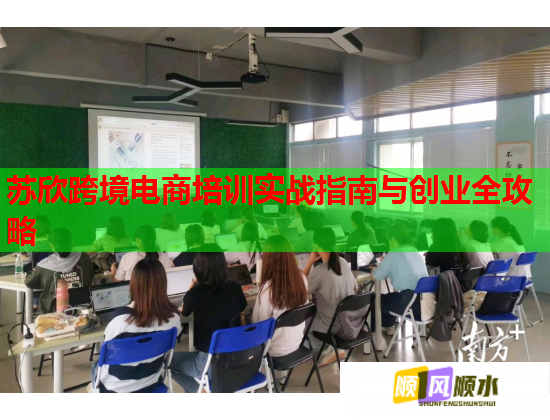 蘇欣跨境電商培訓(xùn)實戰(zhàn)指南與創(chuàng)業(yè)全攻略
