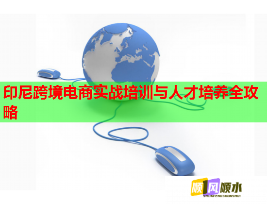 印尼跨境電商實(shí)戰(zhàn)培訓(xùn)與人才培養(yǎng)全攻略