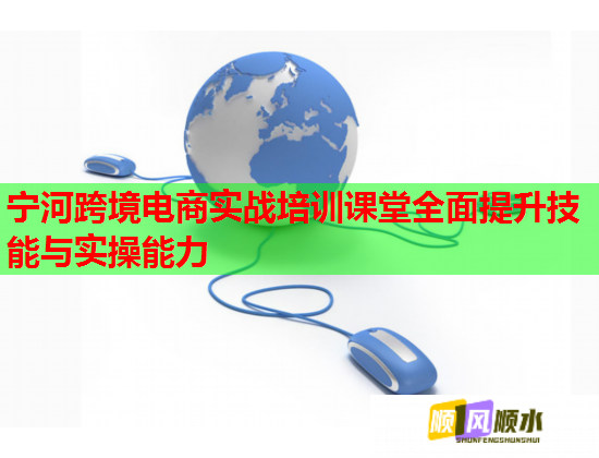寧河跨境電商實戰(zhàn)培訓課堂全面提升技能與實操能力