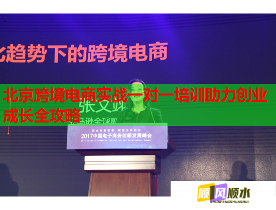 北京跨境電商實戰(zhàn)一對一培訓(xùn)助力創(chuàng)業(yè)成長全攻略 北京跨境電商實戰(zhàn)一對一培訓(xùn)助力創(chuàng)業(yè)成長全攻略