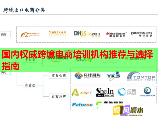 國內(nèi)權(quán)威跨境電商培訓(xùn)機(jī)構(gòu)推薦與選擇指南