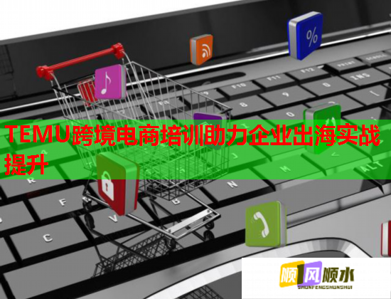 TEMU跨境電商培訓(xùn)助力企業(yè)出海實(shí)戰(zhàn)提升