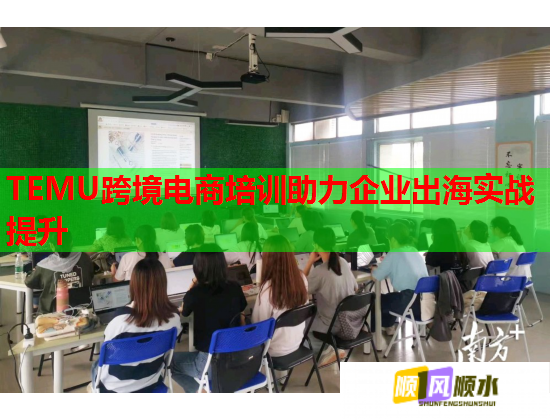 TEMU跨境電商培訓(xùn)助力企業(yè)出海實(shí)戰(zhàn)提升