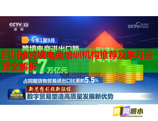 四川省跨境電商培訓(xùn)機(jī)構(gòu)推薦及學(xué)習(xí)資源全解析