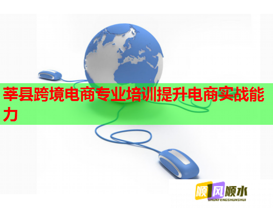 莘縣跨境電商專業(yè)培訓提升電商實戰(zhàn)能力