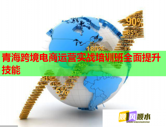 青海跨境電商運(yùn)營(yíng)實(shí)戰(zhàn)培訓(xùn)班全面提升技能