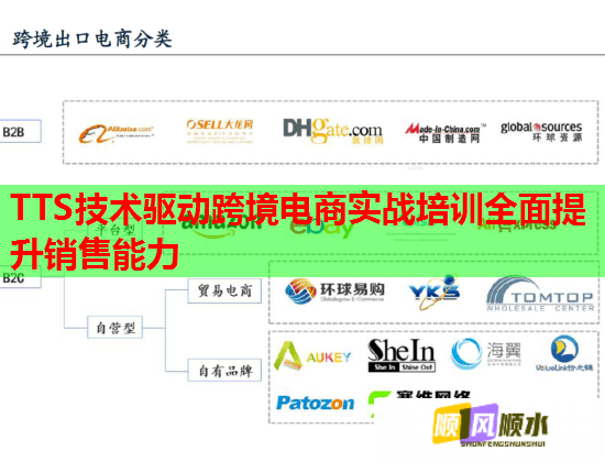 TTS技術(shù)驅(qū)動(dòng)跨境電商實(shí)戰(zhàn)培訓(xùn)全面提升銷售能力