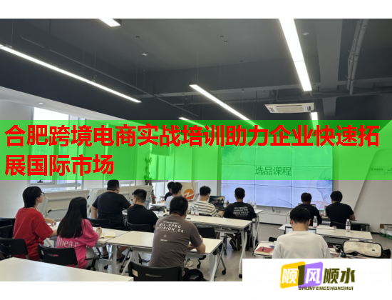 合肥跨境電商實戰(zhàn)培訓助力企業(yè)快速拓展國際市場