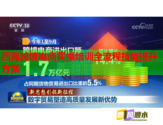 西青跨境電商實(shí)操培訓(xùn)全流程技能提升方案