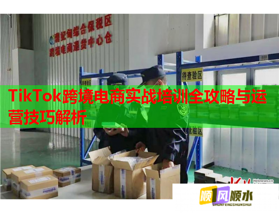 TikTok跨境電商實(shí)戰(zhàn)培訓(xùn)全攻略與運(yùn)營(yíng)技巧解析 TikTok跨境電商實(shí)戰(zhàn)培訓(xùn)全攻略與運(yùn)營(yíng)技巧解析