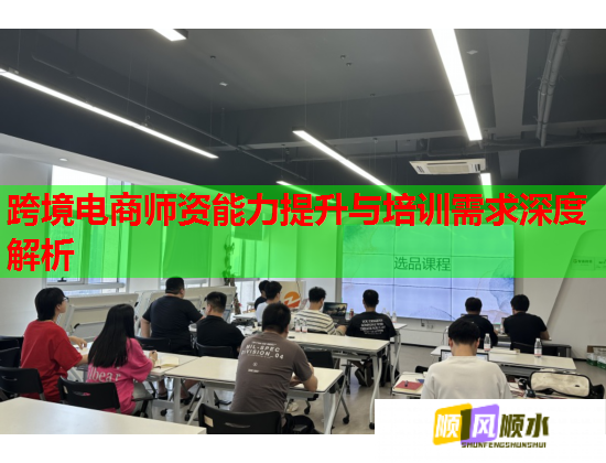 跨境電商師資能力提升與培訓(xùn)需求深度解析 跨境電商師資能力提升與培訓(xùn)需求深度解析